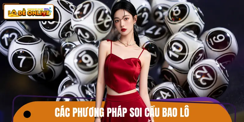 bao-lo-so-de-phuong-phap
