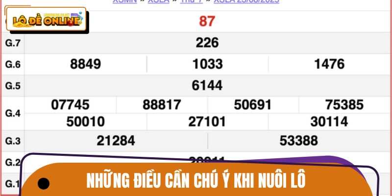 Những điều cần chú ý khi thực hiện các cách nuôi lô