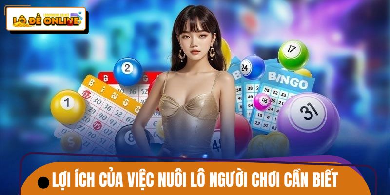 Lợi ích của việc nuôi lô người chơi cần biết